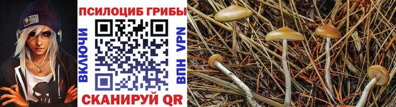 наркотики  Саранск  Галлюциногенные грибы Magic Shrooms 