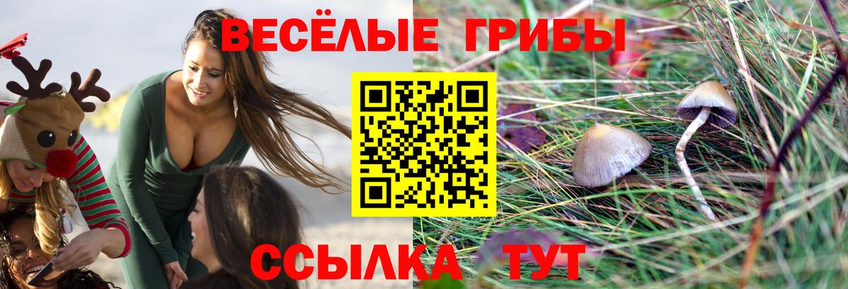 Псилоцибиновые грибы мухоморы Саранск