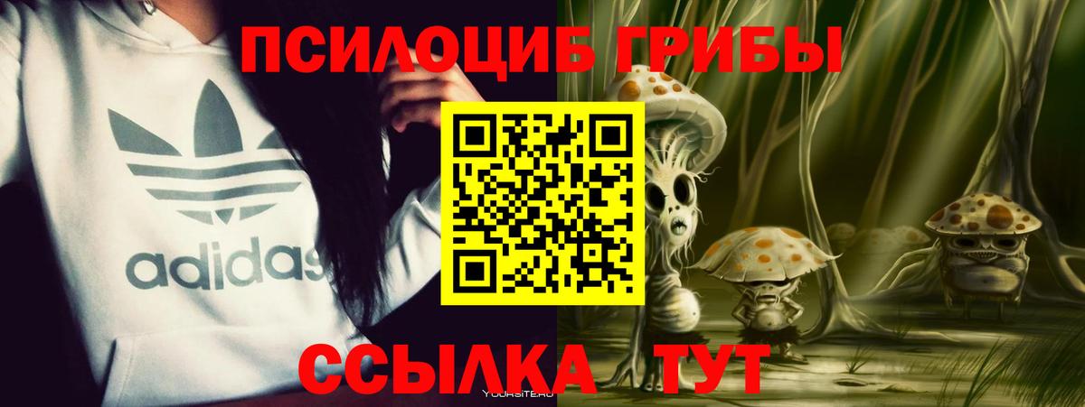 Псилоцибиновые грибы ЛСД  Псилоцибиновые грибы прущие грибы  Саранск  Вход с VPN 